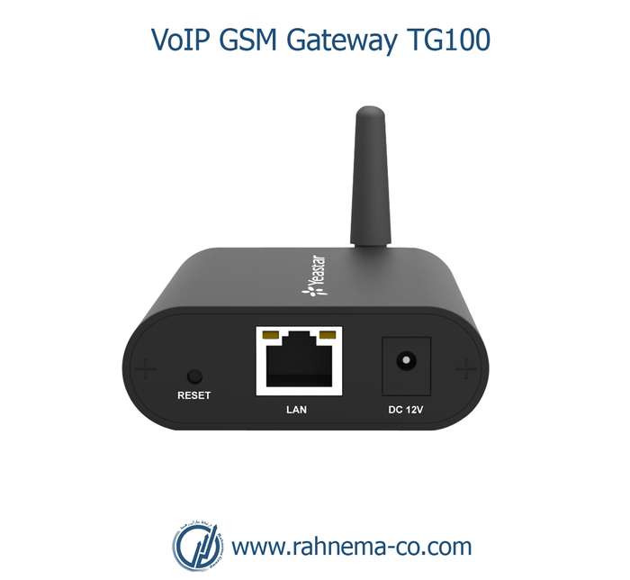 VoIP GSM Gateway TG100